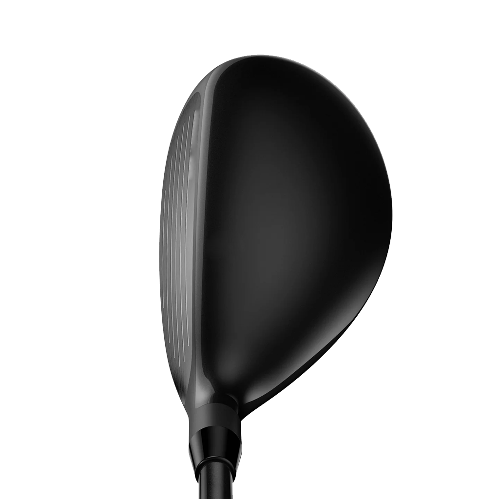 HEAD Hybrid