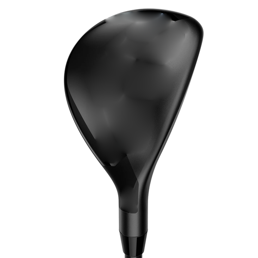 HEAD Hybrid